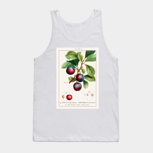 Myrobalan Plum Tank Top